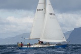 scintilla of the sea 920y whyw25 sun 800_7035